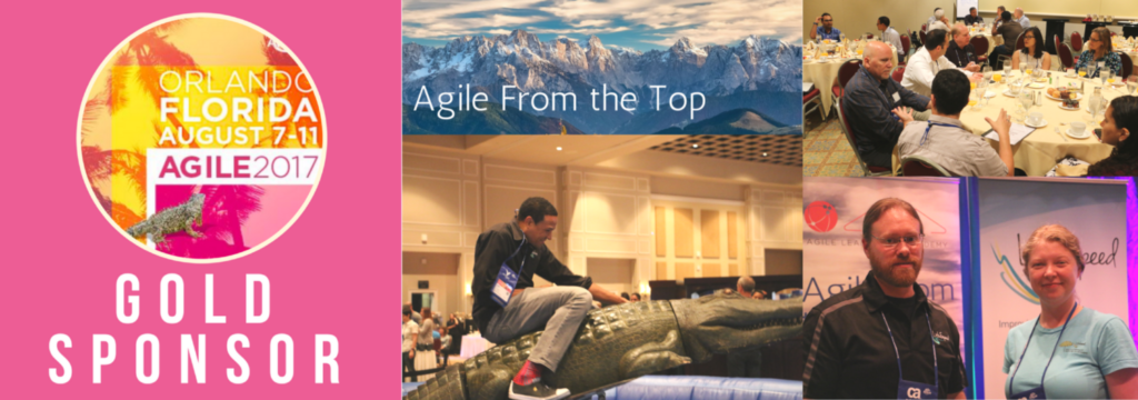 Agile2017 Collage e1502983740341 Agile2017 Collage e1502983740341