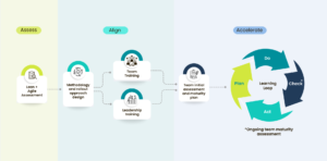 Assessment Process Diagram