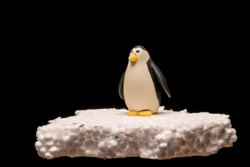 Penguin alone on a polystyrene block on black background
