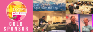 Agile2017 Collage e1502983740341