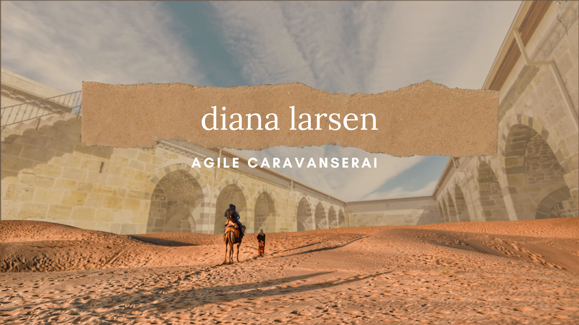 Diana Larsen Agile Caravanserai